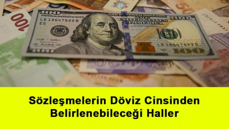   Sözleşmelerin Döviz Cinsinden Belirlenebileceği Haller   