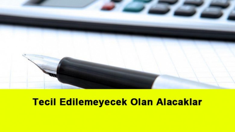   Tecil Edilemeyecek Olan Alacaklar   